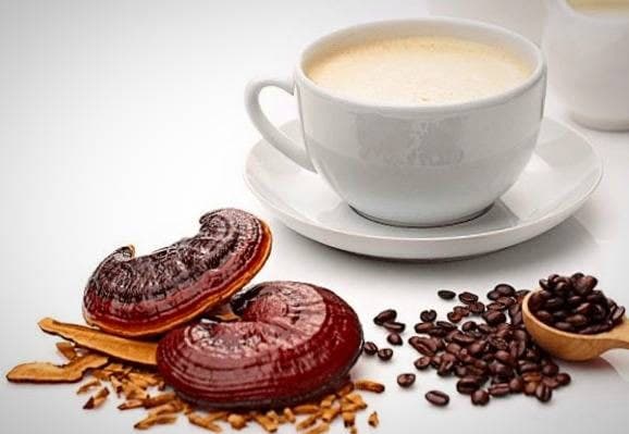 خواص قهوه گانودرما دکتر بیز |خواص قهوه گانودرما و جینسینگ |عکس قهوه گانودرما