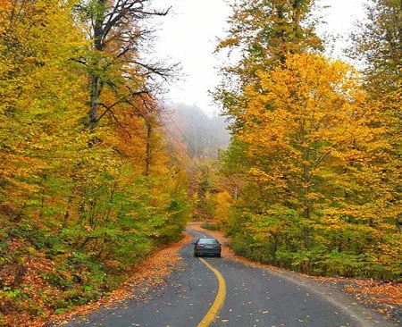 عمومی