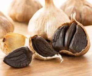 علم و تکنولوژی
