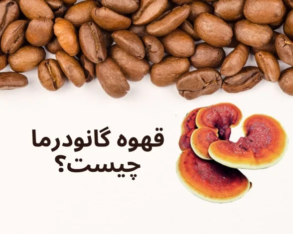 گانودرما