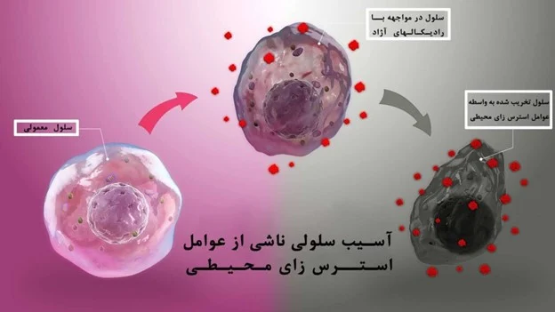 علم و تکنولوژی