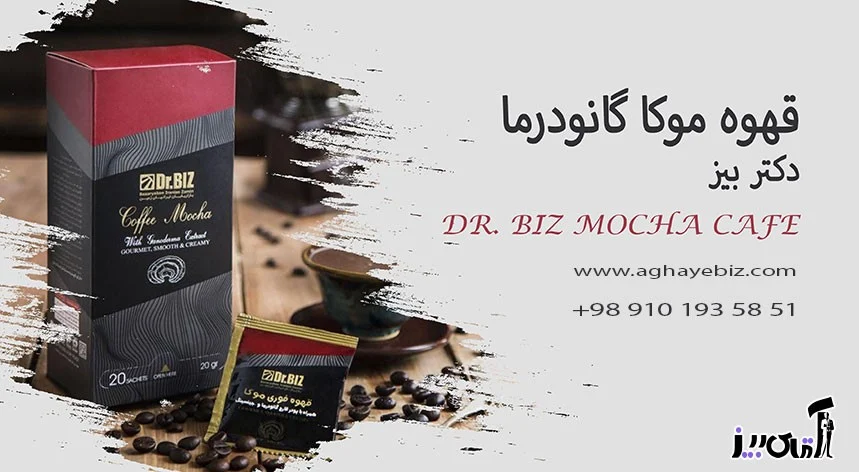 What is Ganoderma Biz mocha coffee good for?