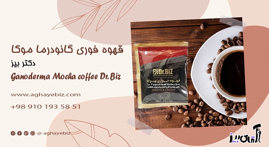 What is Ganoderma Biz mocha coffee good for?