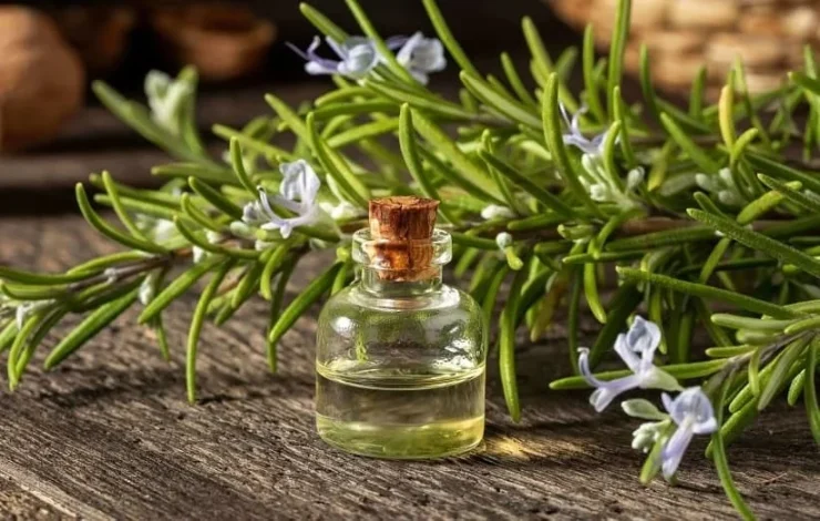 روغن