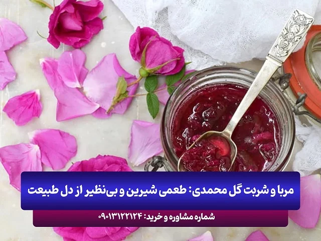 عمومی