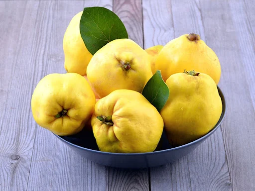 علم و تکنولوژی