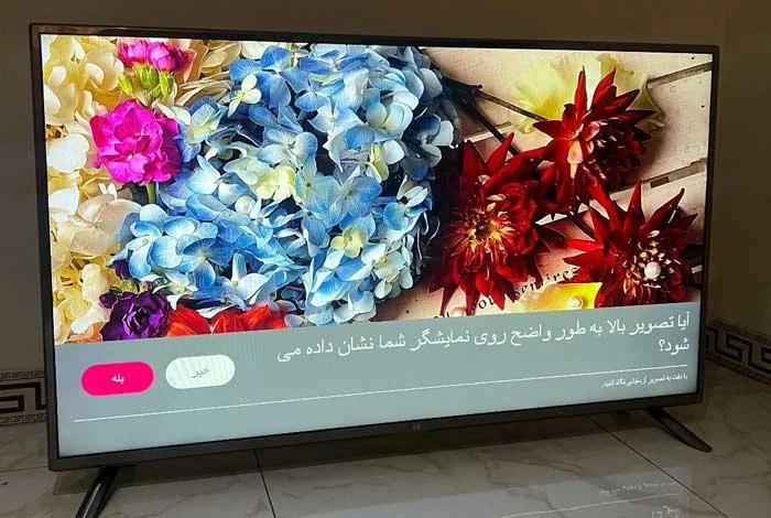 تلویزیون