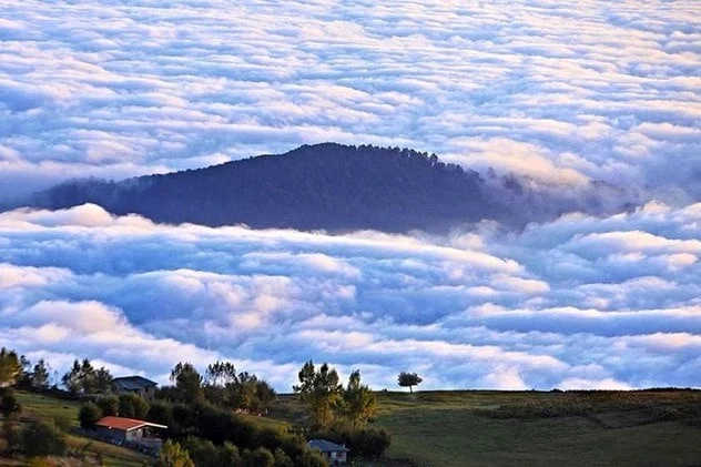 جنگل های رامسر