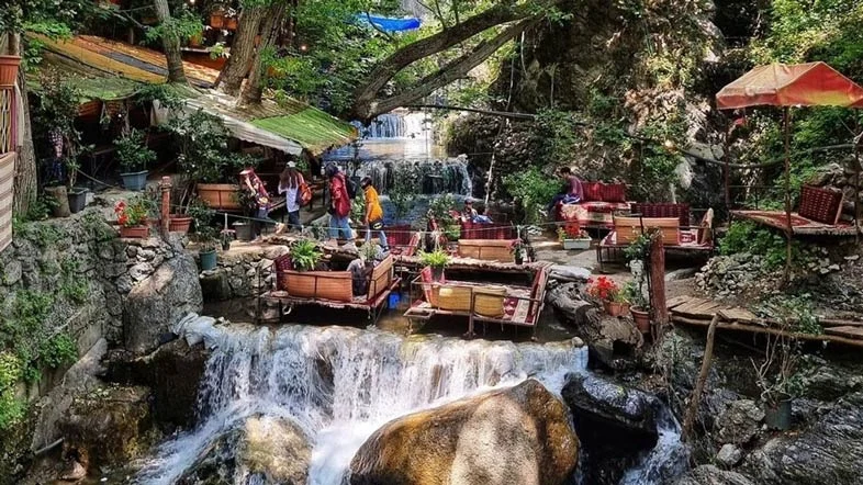 تهران
