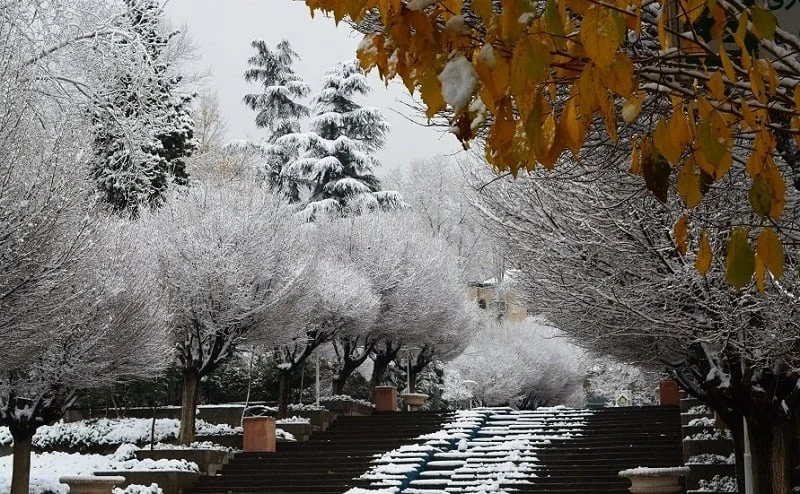 تهران