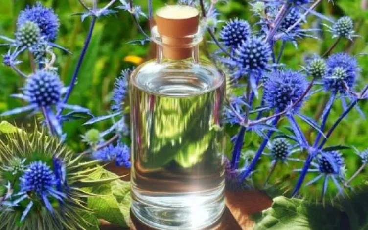 بیماری