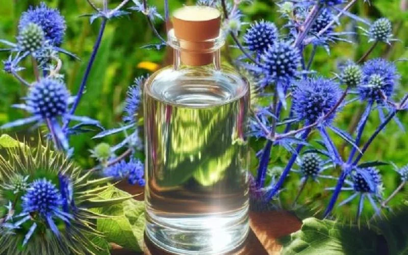بیماری |تغذیه