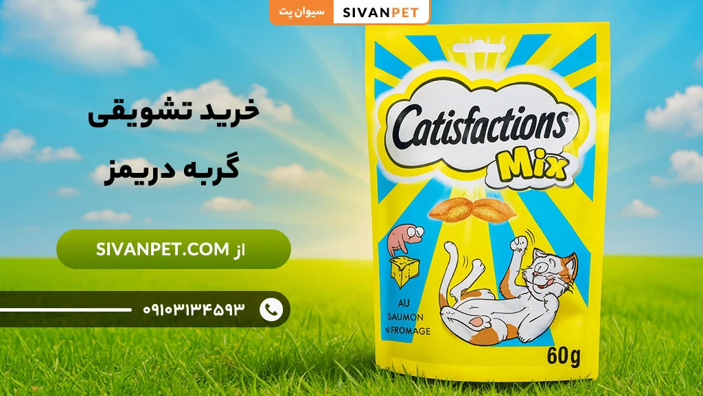 مزایای خرید تشویقی گربه دریمز