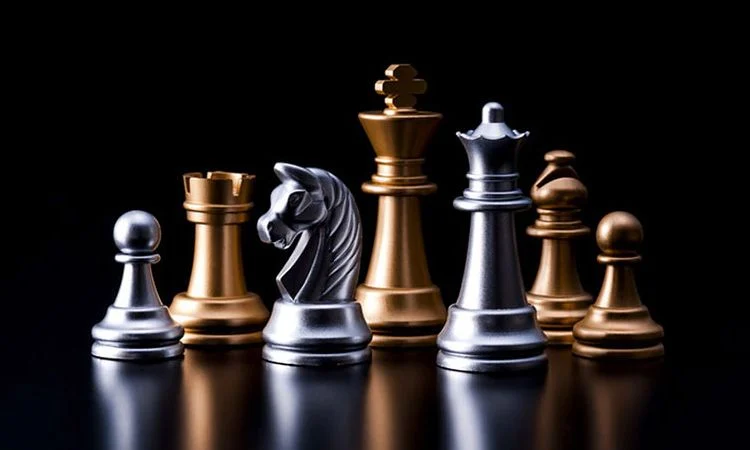  برترین مراکز آموزشی شطرنج