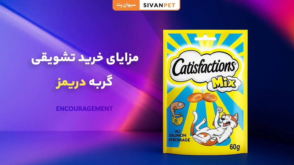 تغذیه |حیوان خانگی