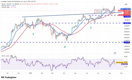 ارز دیجیتال ارز دیجیتال