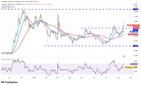 ارز دیجیتال |رمز ارز ارز دیجیتال |رمز ارز